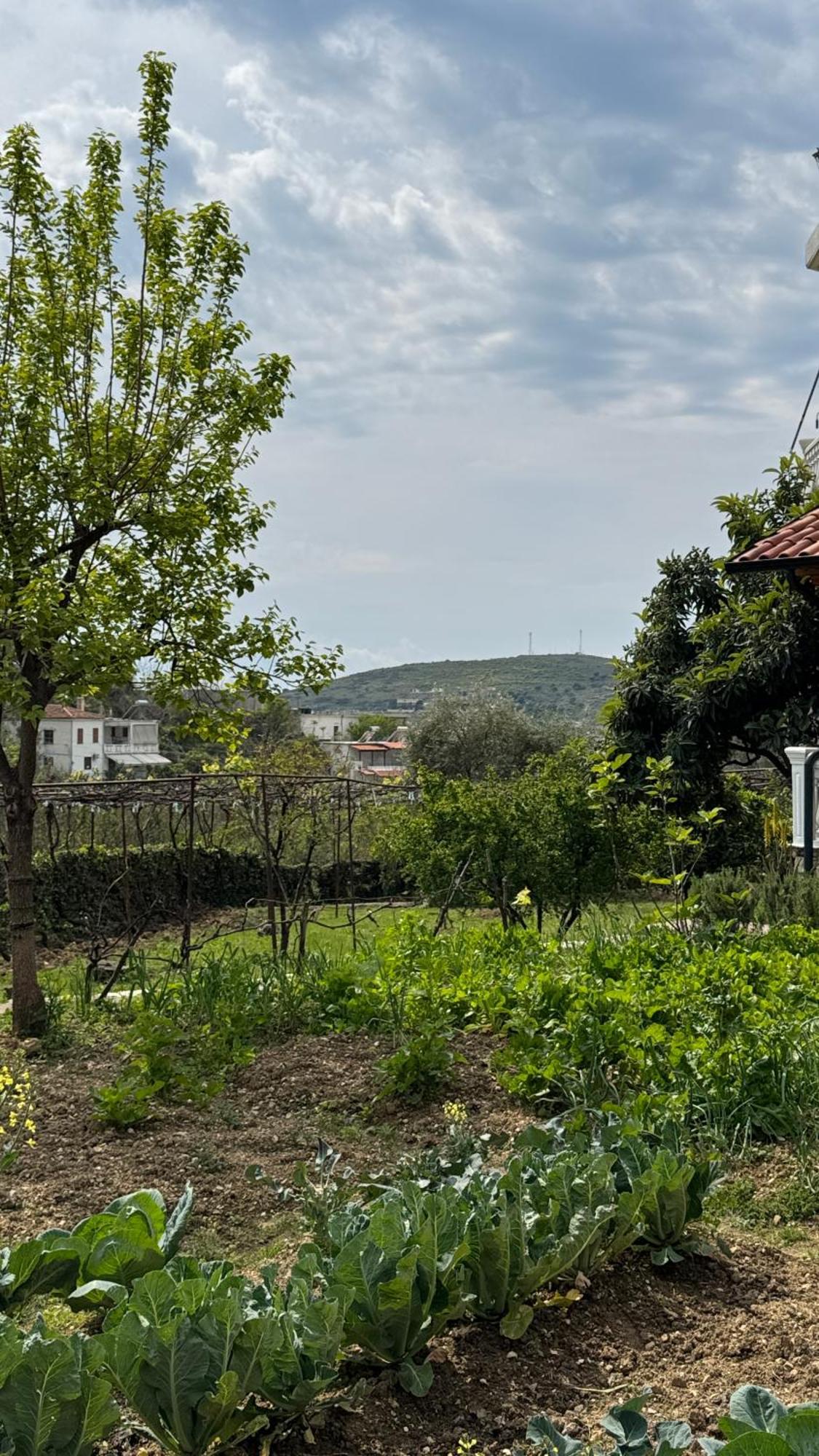 Antonia Guest house